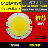 COB面光源双色专用用途灯具30W大功率 COB集成筒灯专用 圆形COB